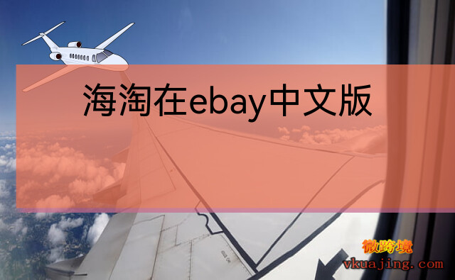 海淘在ebay中文版