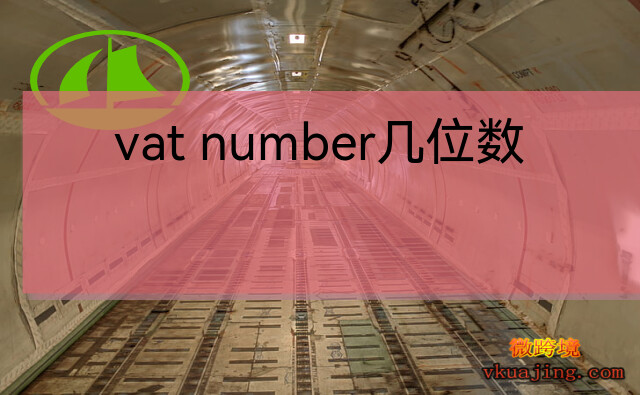 vat number几位数(eori number和vat的区别)